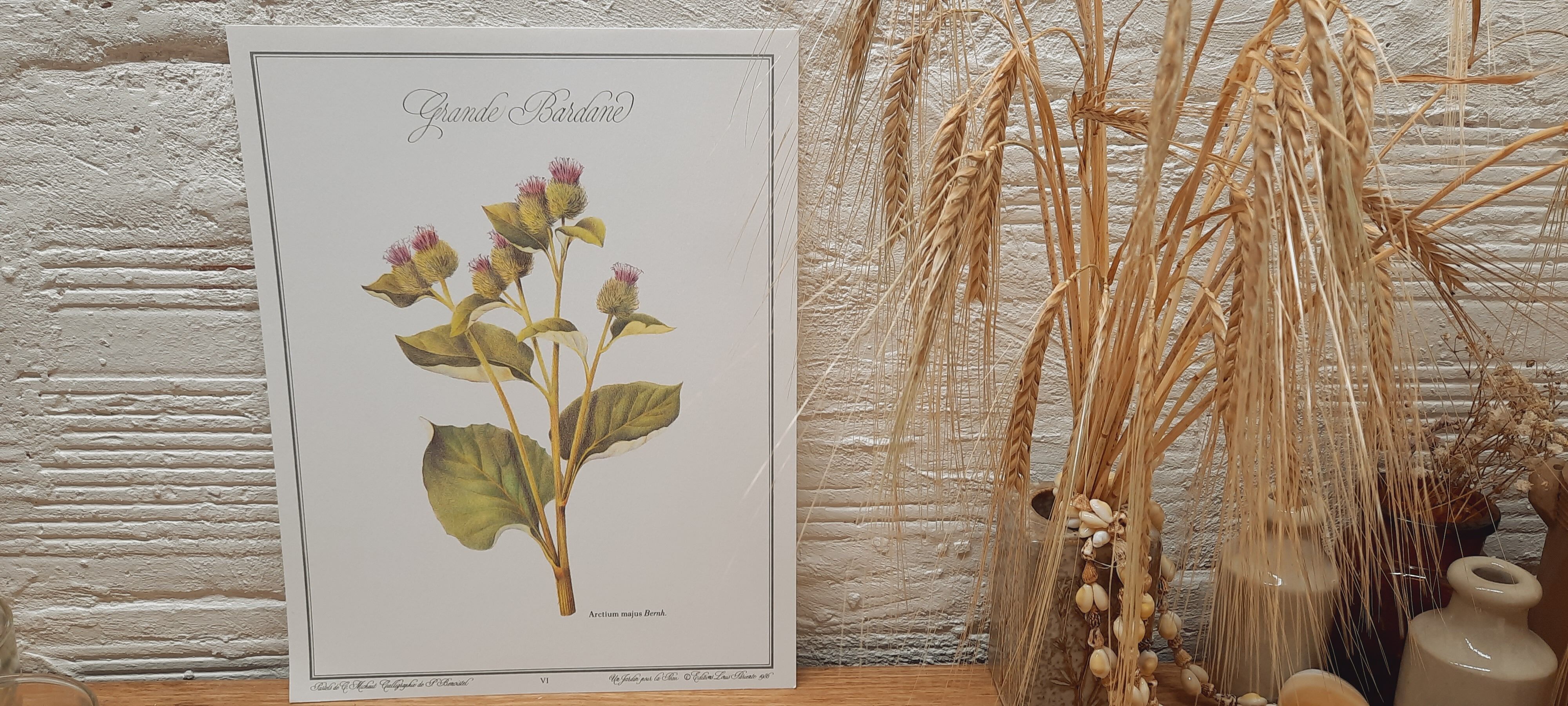 Botanical plate Grande Burdane