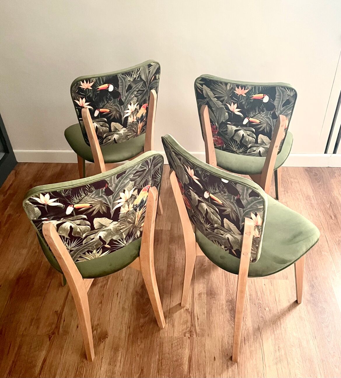 Chairs year 50/60, restored in green velvet and jungle parrot