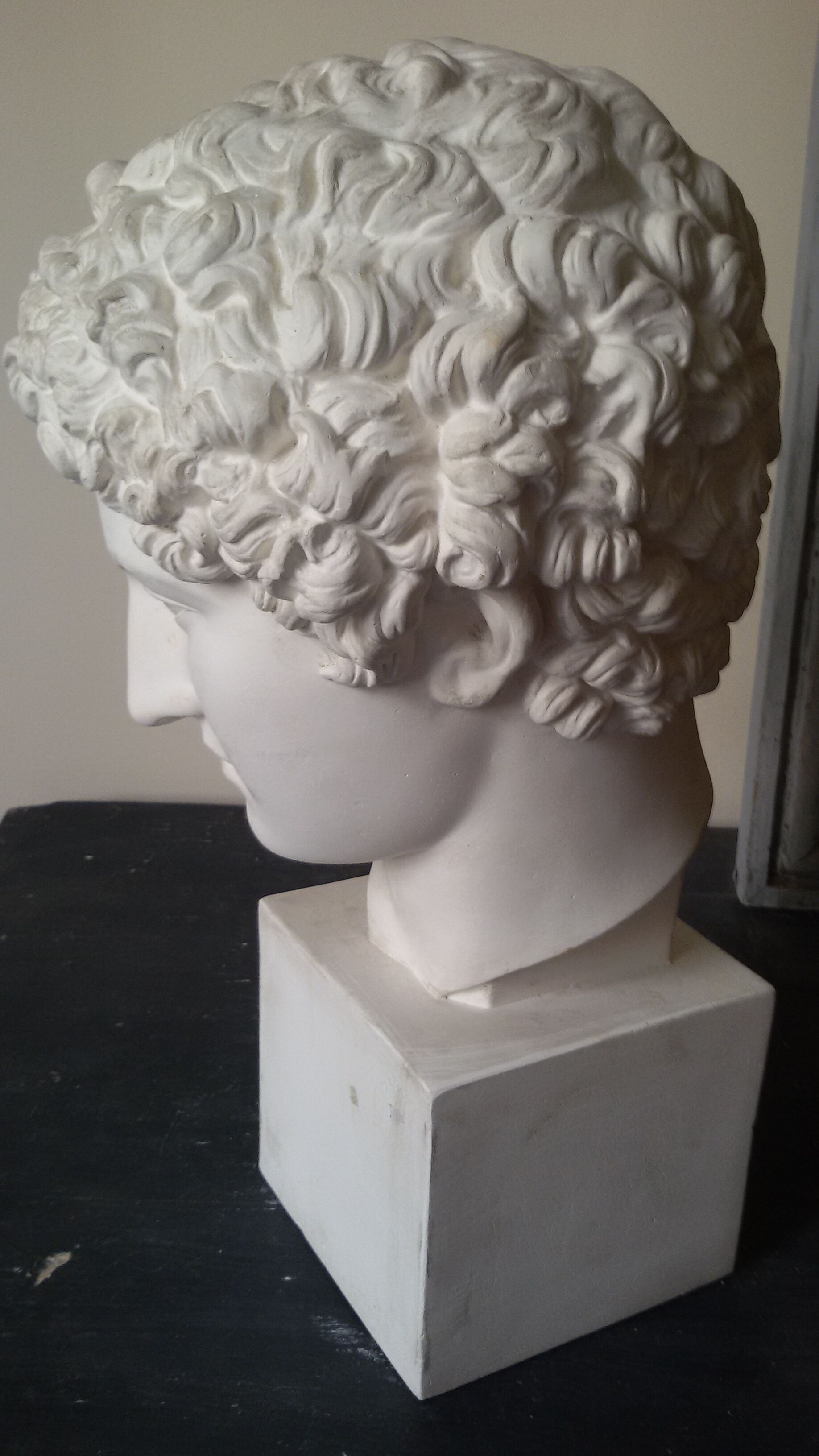 Bust plaster early Apollo twentieth