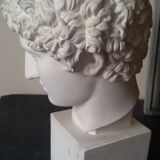 Bust plaster early Apollo twentieth