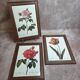 Lot de 3 cadres botaniques P.j. Redouté – Roses & tulipe