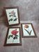 Set of 3 botanical frames P.J. Redouté – Roses & tulip