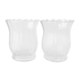 Lot de 2 vases en verre