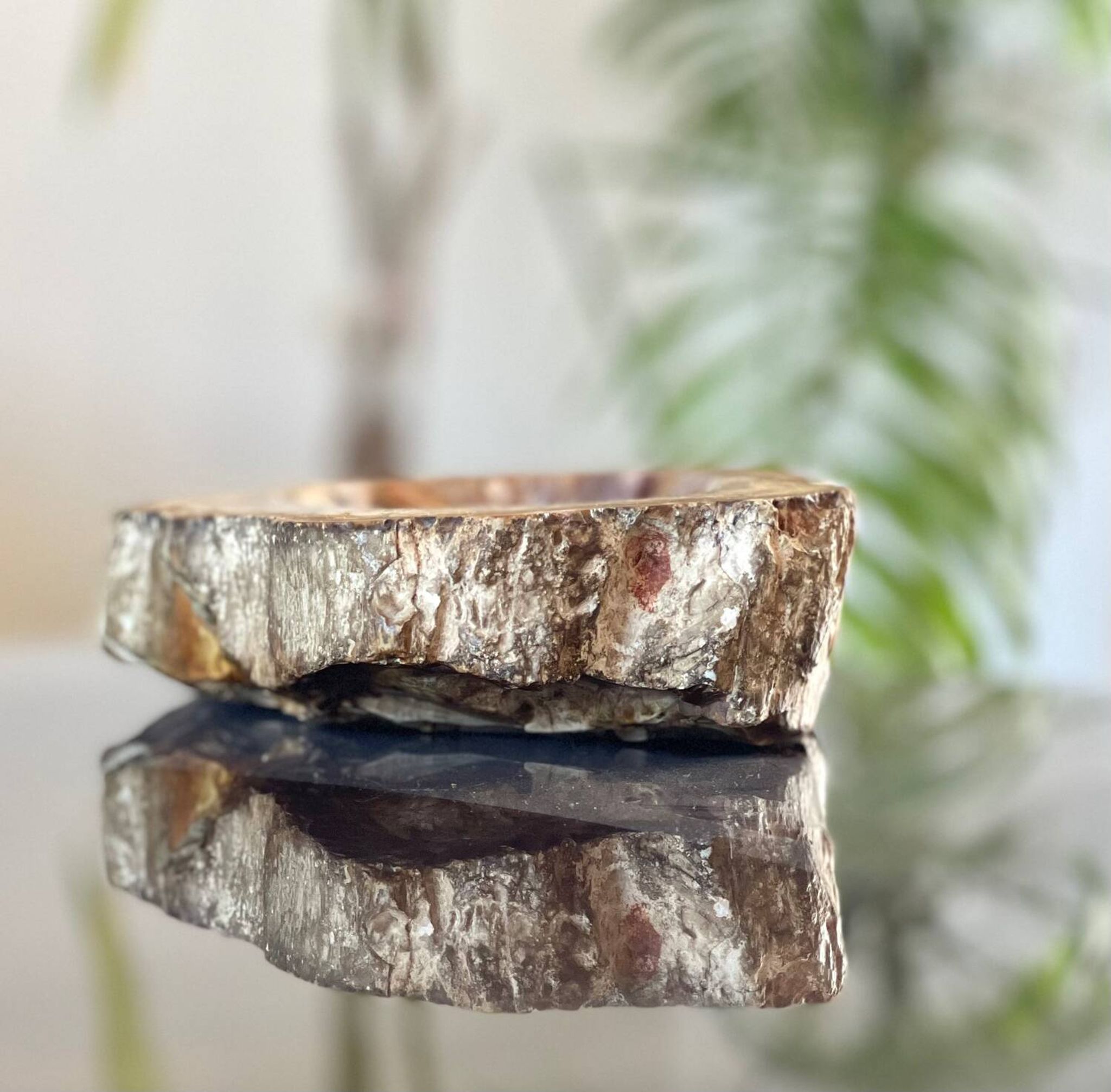 Petrified wood catchall