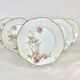 6 flat plates Baltimore Rose by Haviland Limoges
