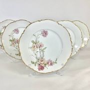 6 Assiettes plates Baltimore Rose de Haviland Limoges