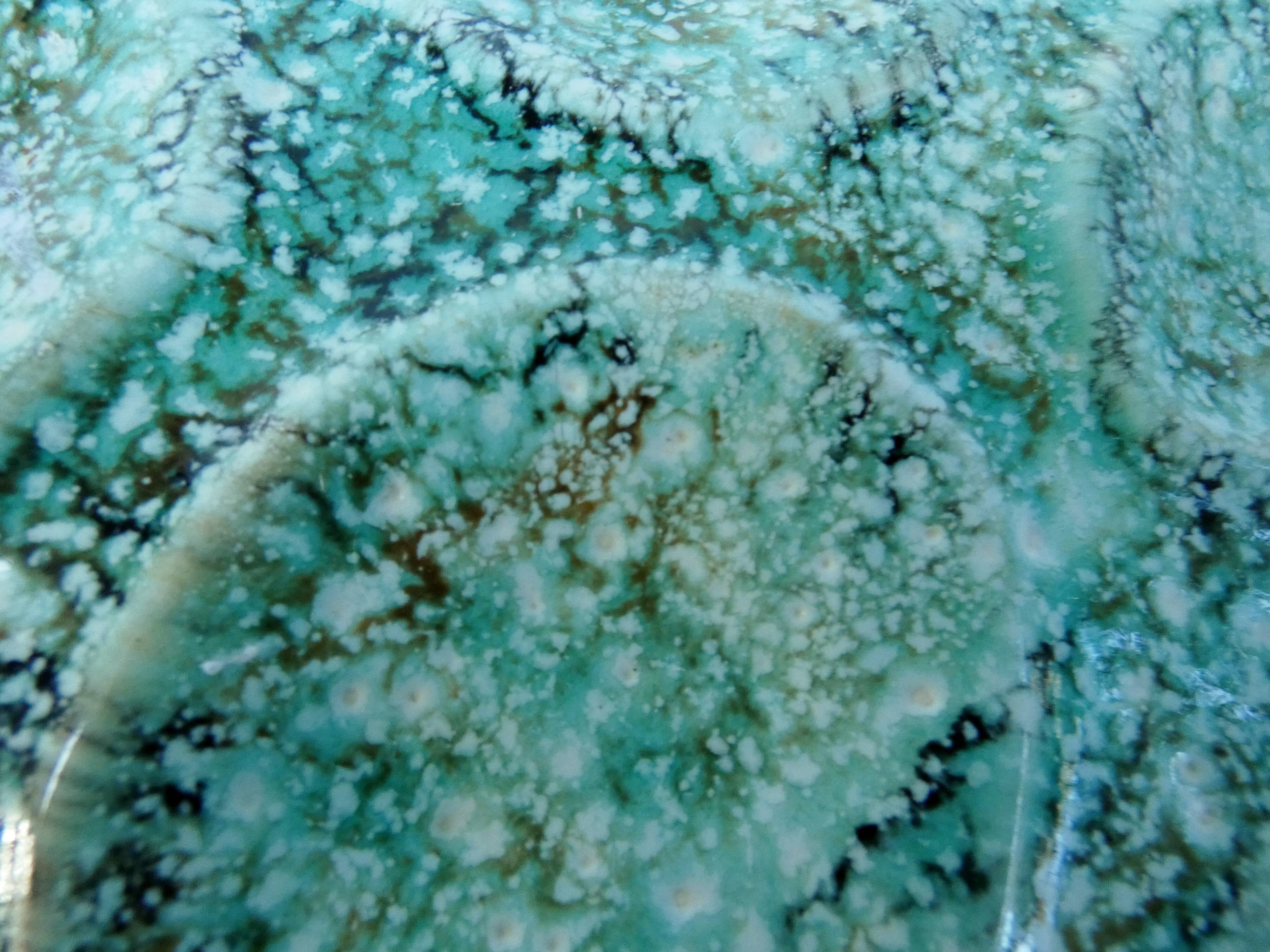 Turquoise ceramic oyster plate signed Niderviller model moss 1950 1960