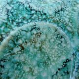 Turquoise ceramic oyster plate signed Niderviller model moss 1950 1960