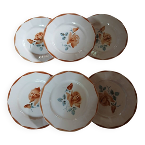 6 assiettes plates anciennes - digoin sarreguemines