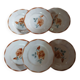 6 old Digoin and Sarreguemines dinner plates
