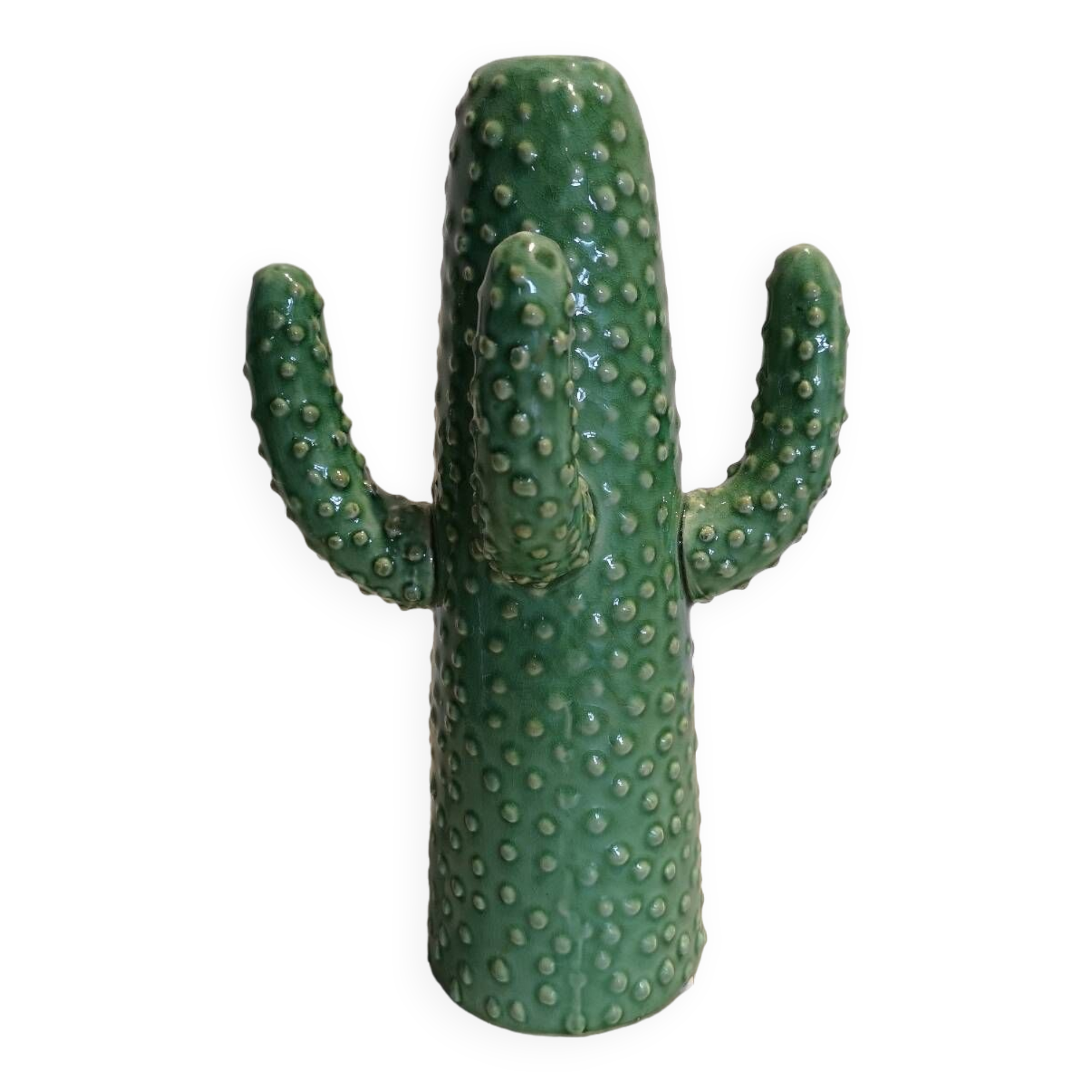 Cactus Vase