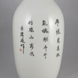 Chinese porcelain vase