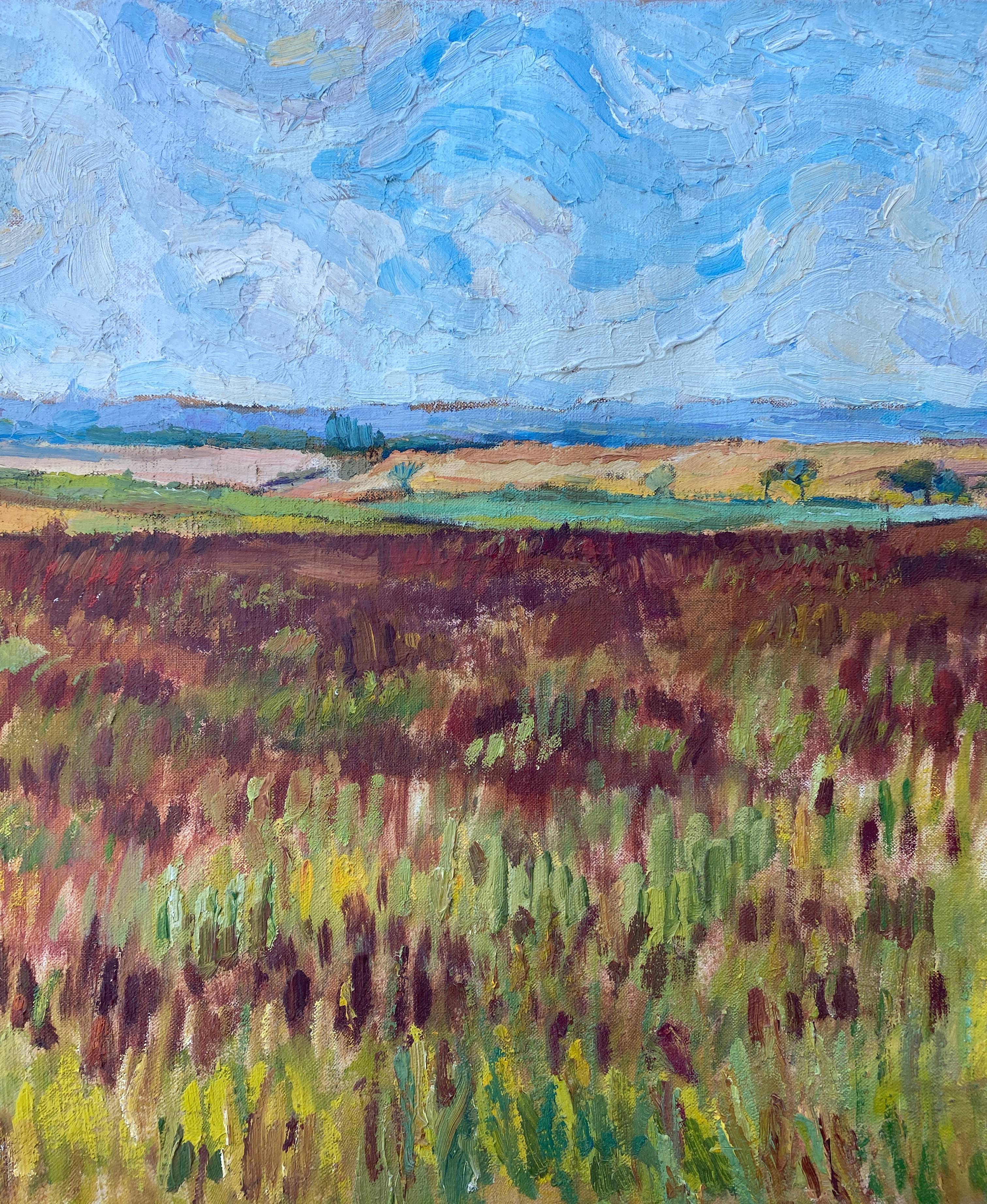 HST painting "Countryside landscape" Fields and valley in summer