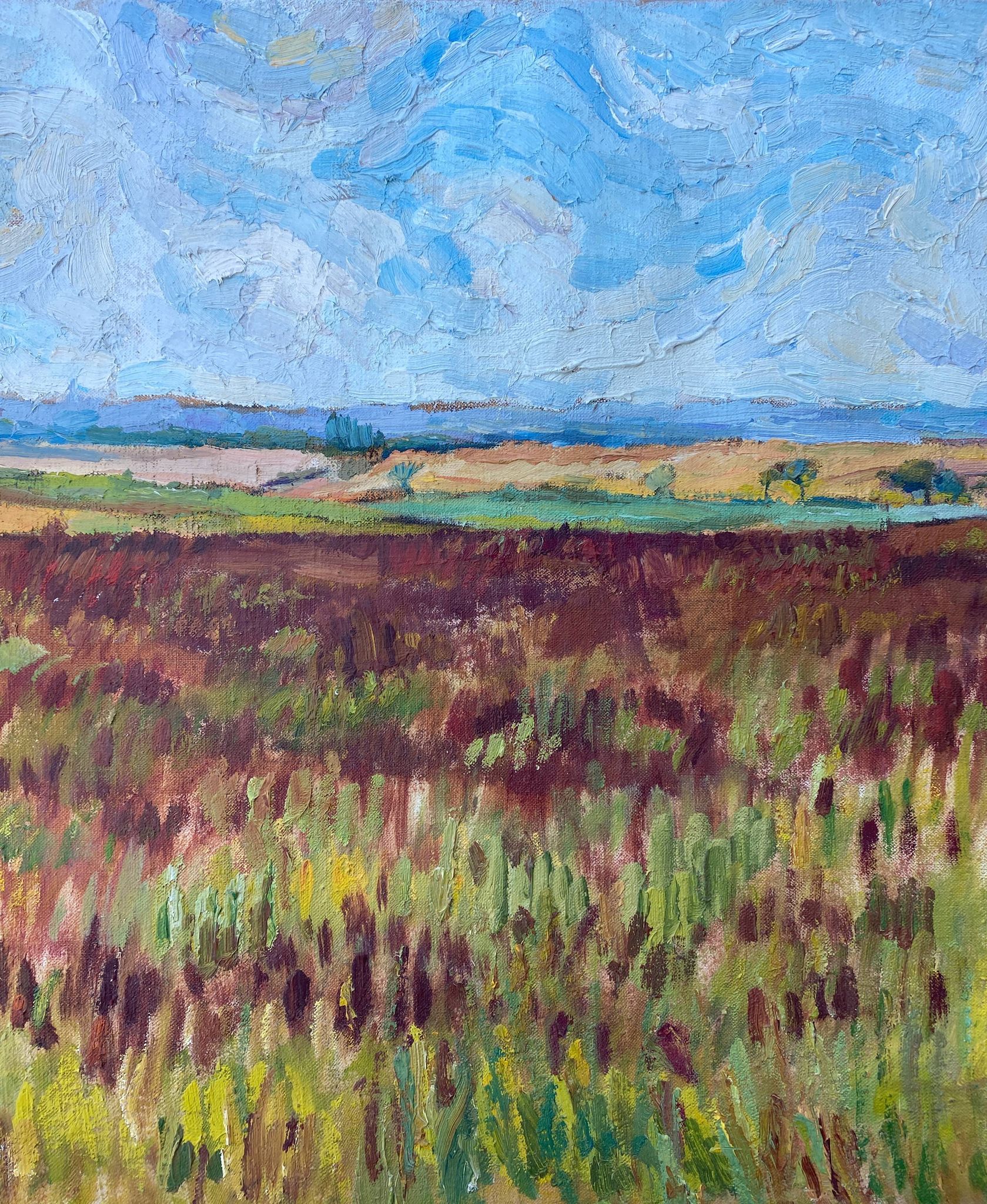 HST painting "Countryside landscape" Fields and valley in summer