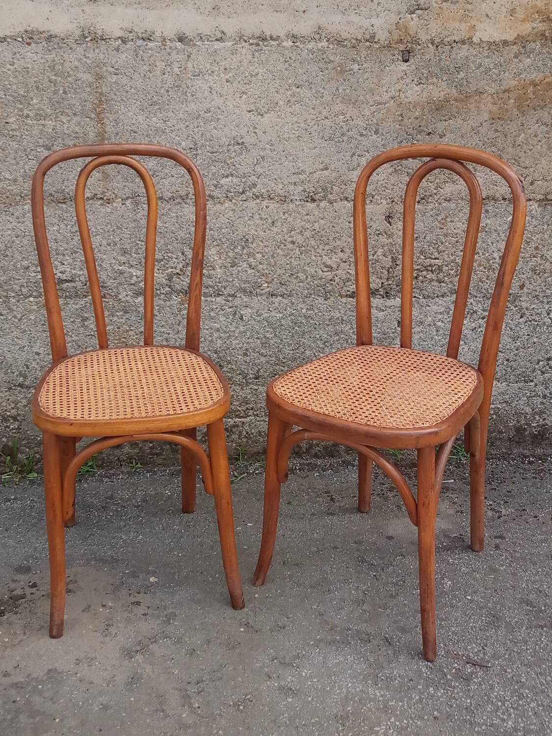 Pair of caned Fischel chairs, circa 1900