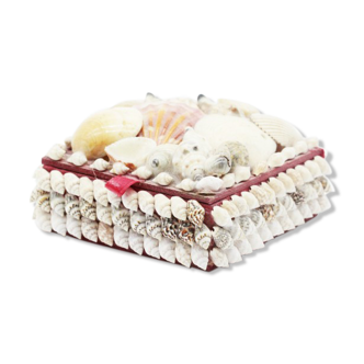 seashell box