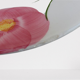 Flower plates1980 ceramic San Marciano