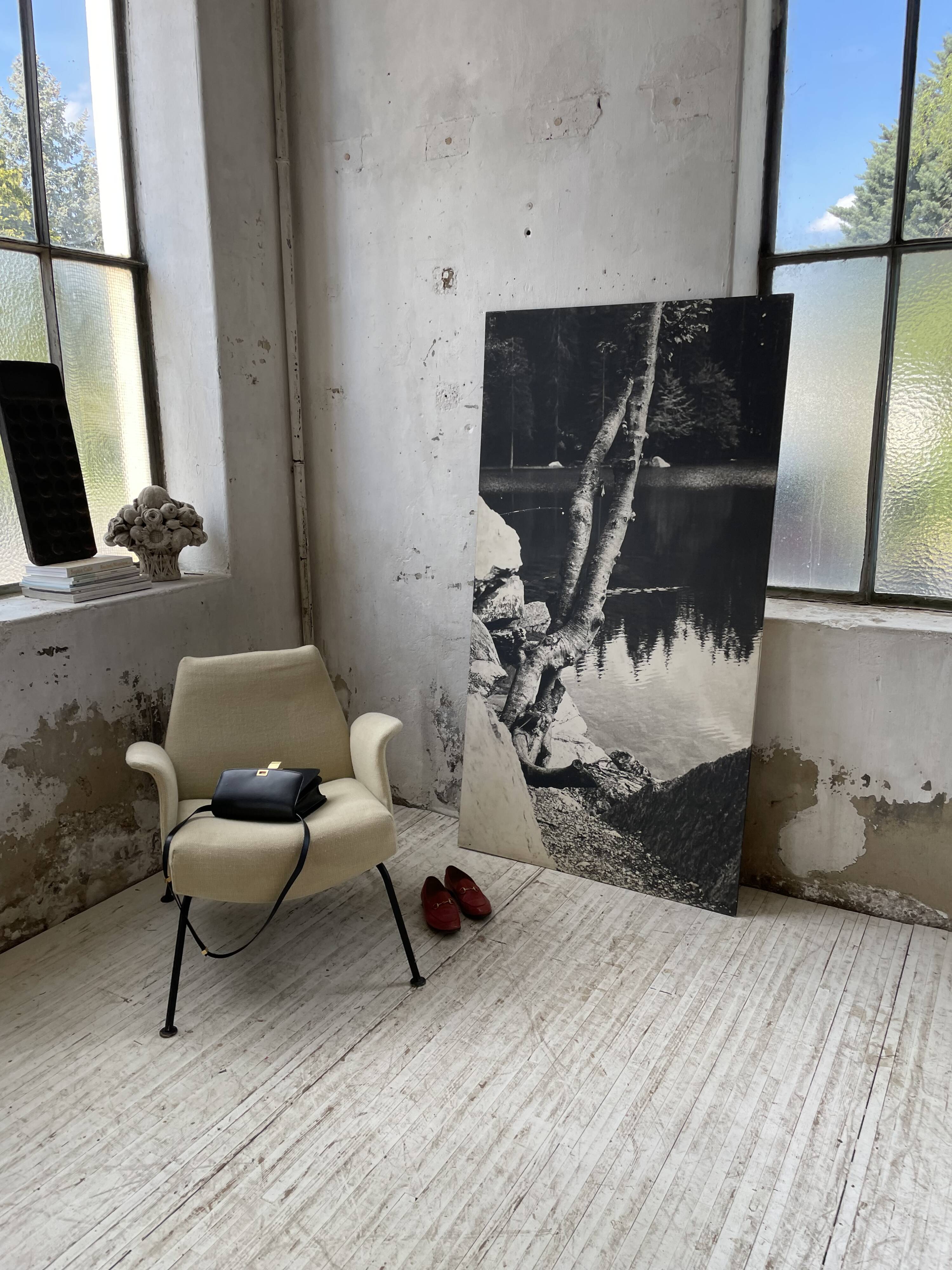 Old XXL black and white tree photograph