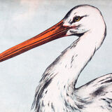 🔎Affiche "Stork" by j. F. Schreiber 1893