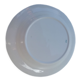 Apple plate