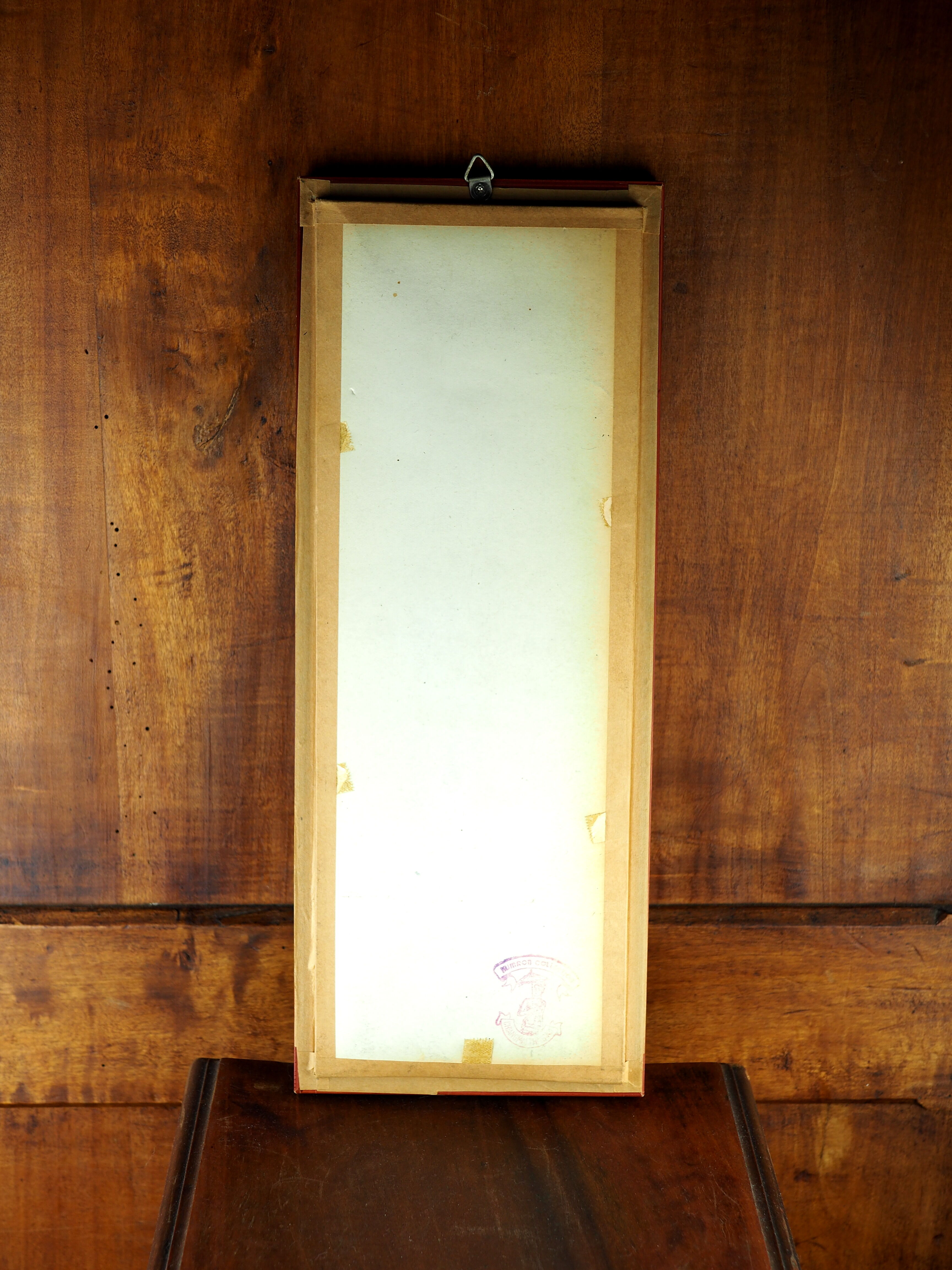 Five butterflies on cotton wool under frame - 60s / 70s