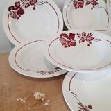 Hollow plates saint Amandoise