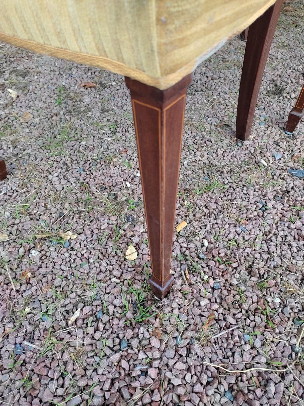 Rare, Victorian chairs nineteenth century. Vintage English hepplewhite chairs