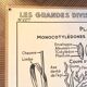 Old school poster vintage botanical poster