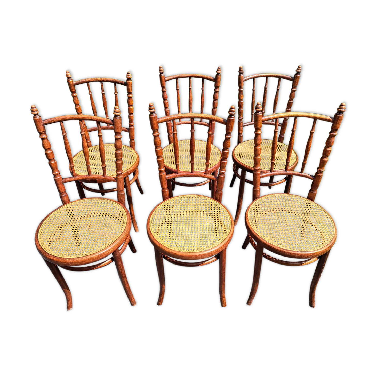 Set of 6 Fischel chairs in cane wood