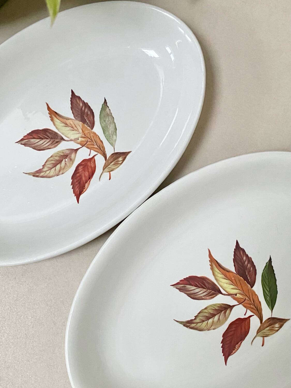 Pair of serving dishes