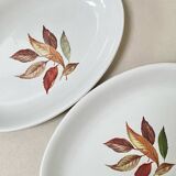 Pair of serving dishes
