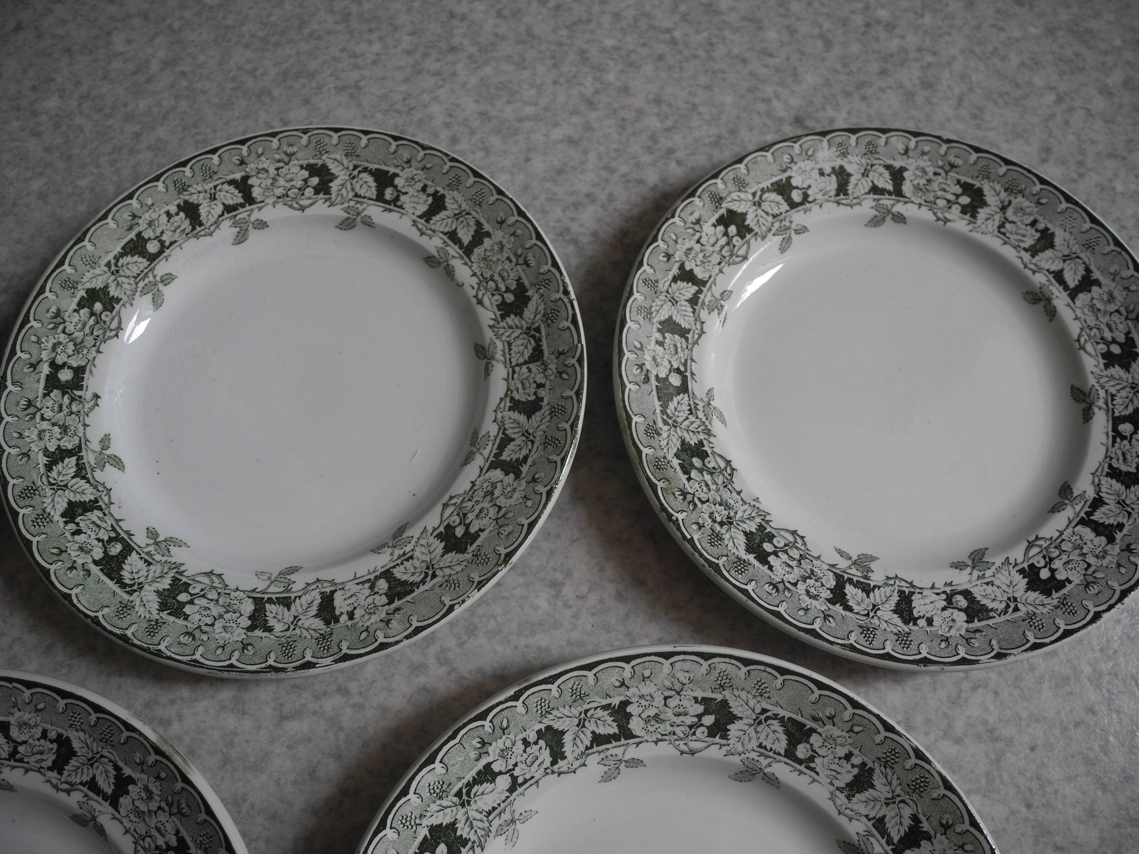 Lot of 5 flat plates, St Amand earthenware, antique French flate plates, 30s