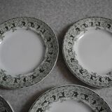 lot 5 assiettes plates faïence St Amand antique french flate plates 30s