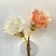 Double wall light with pink and white flower tulips brass LAMP-7103