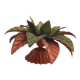 Metal flower wall light