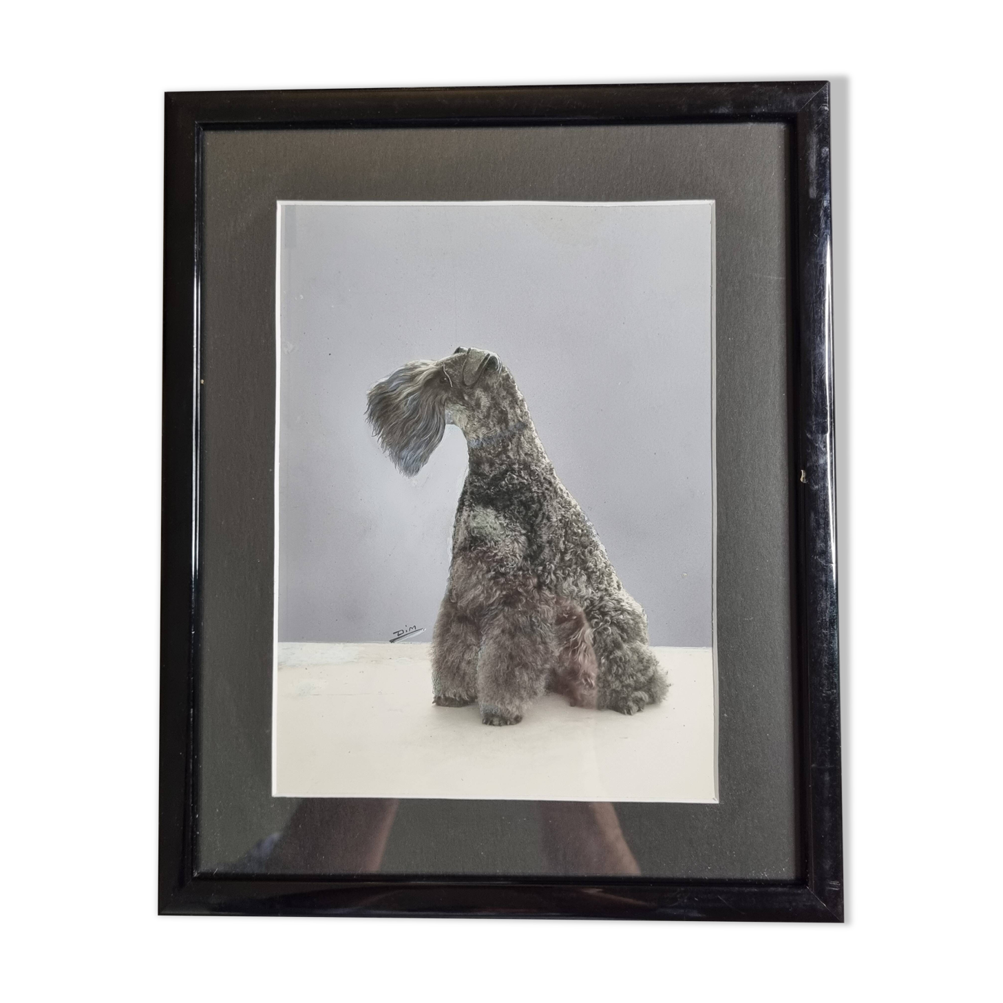 Black and white silver print, xanine silhouette, signed (Dim) Henri Dimont, 32 x 25 cm