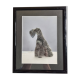 Black and white silver print, xanine silhouette, signed (Dim) Henri Dimont, 32 x 25 cm