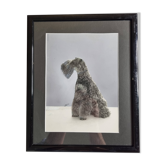 Tirage argentique noir et blanc, silhouette xanine, signée (Dim) Henri Dimont, 32 x 25 cm