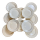Lot de 12 assiettes porcelaine opaque Digoin et Sarreguemines