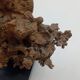 Organic Sculpture Brutalist Modernist Midcentury Gilded Bronze Casting
