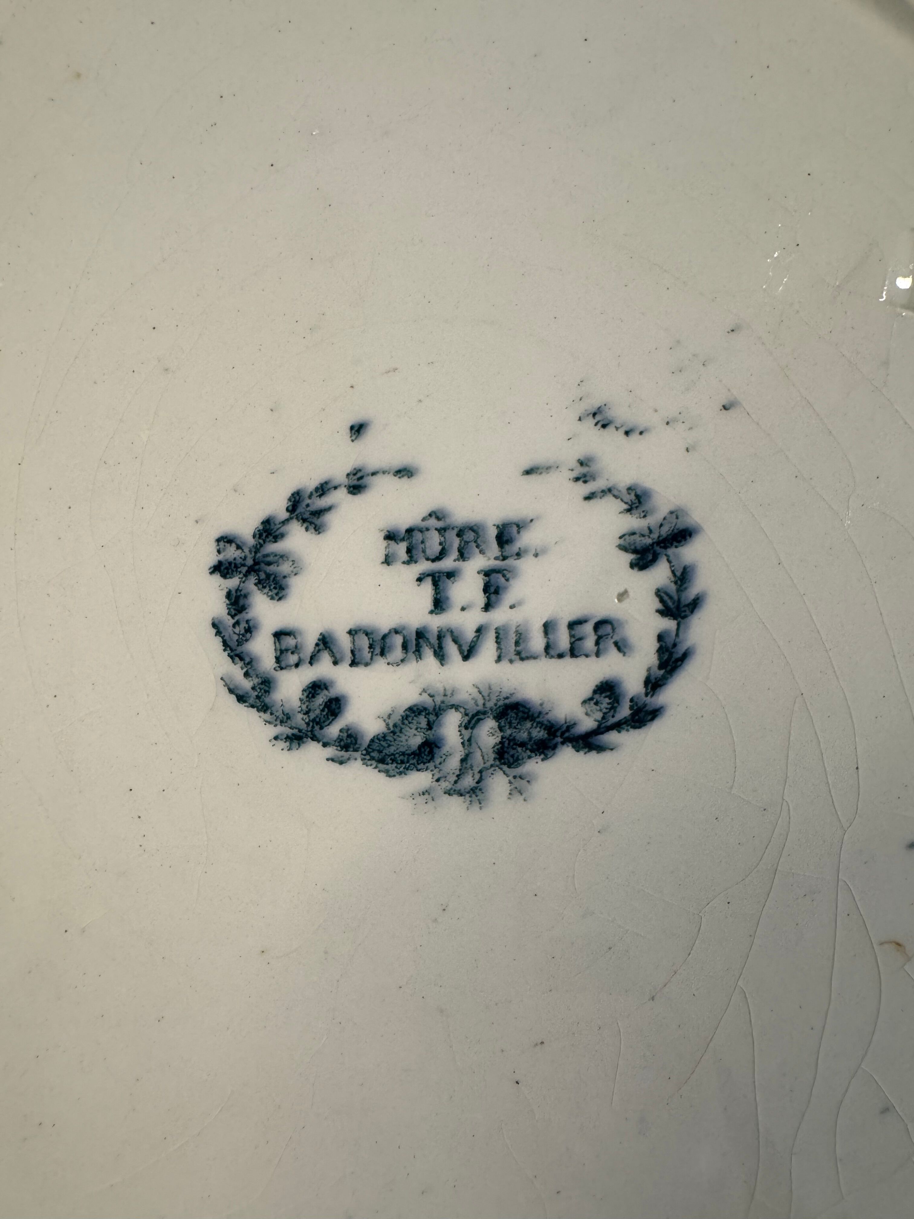 7 deep plates in ironstone "Mûre" Badonviller