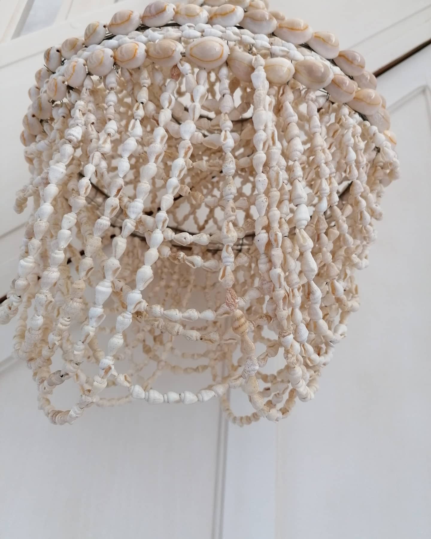 Seashell chandelier