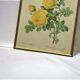 Old yellow rose lithograph framed under glass Remond printing house ACC-7059