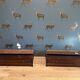 Special Globe Wernicke Bookcase