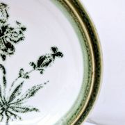 8 vintage hollow plates earthenware Gien model Herbiers table arts France
