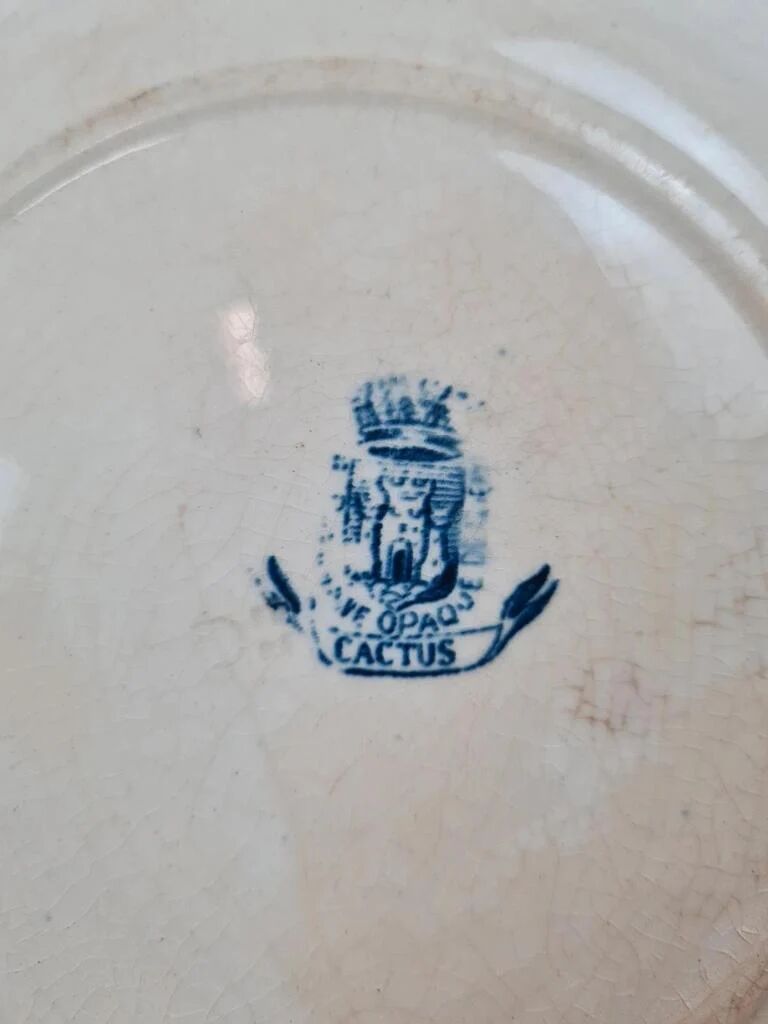 Antique Gien plate, Cactus model