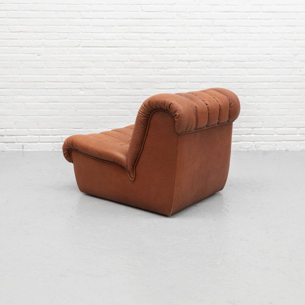 Fauteuil De Sede DS-85