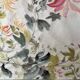 Asia, painting on chrysanthemum rice paper stamp 20th century