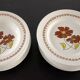 16 assiettes vintages