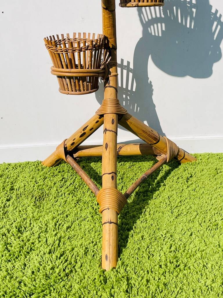 Bamboo snake plant holder. Vintage 50s.